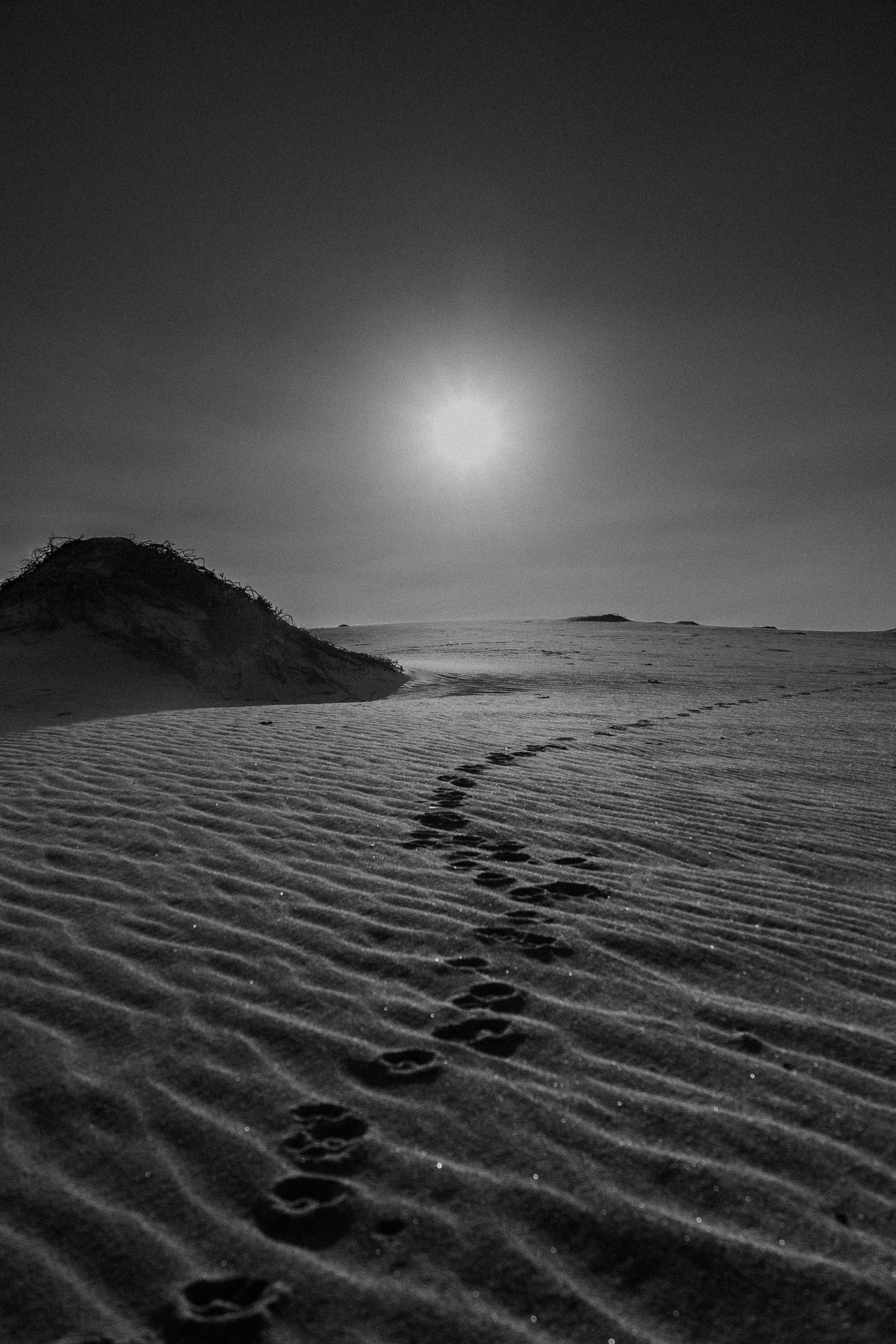 Footprints in sand dunes