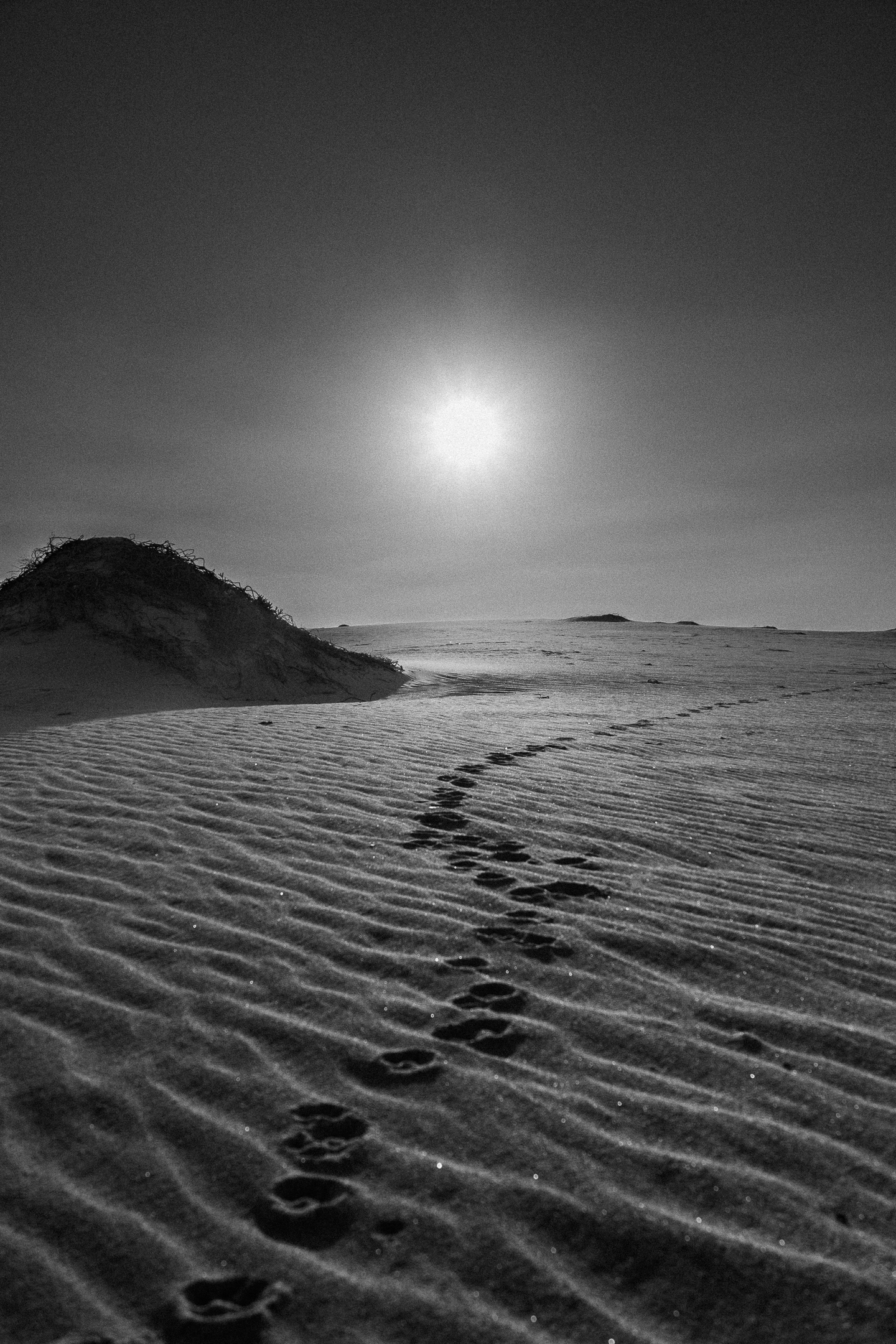 Guad Footprints 1