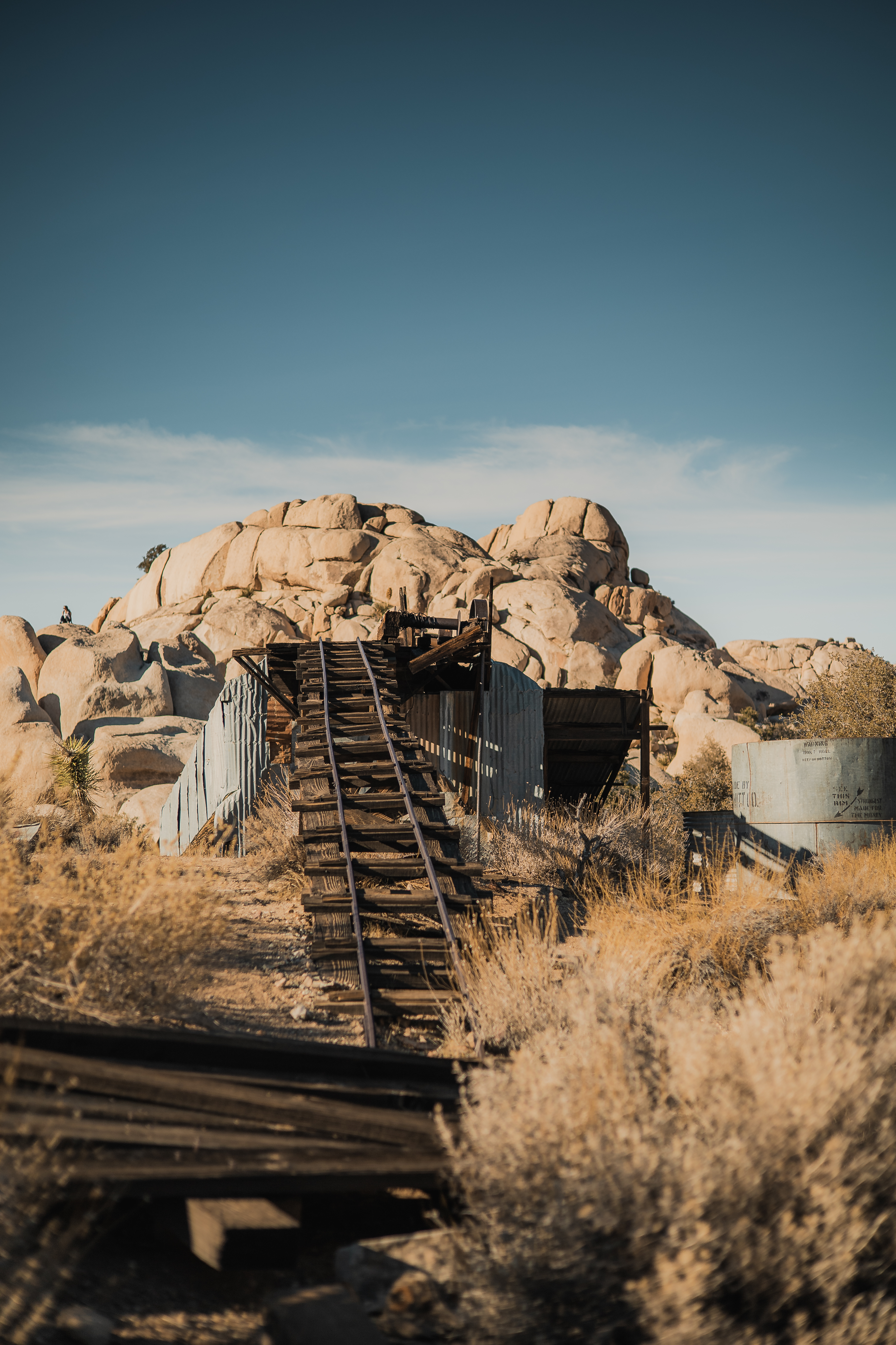 Joshua Tree