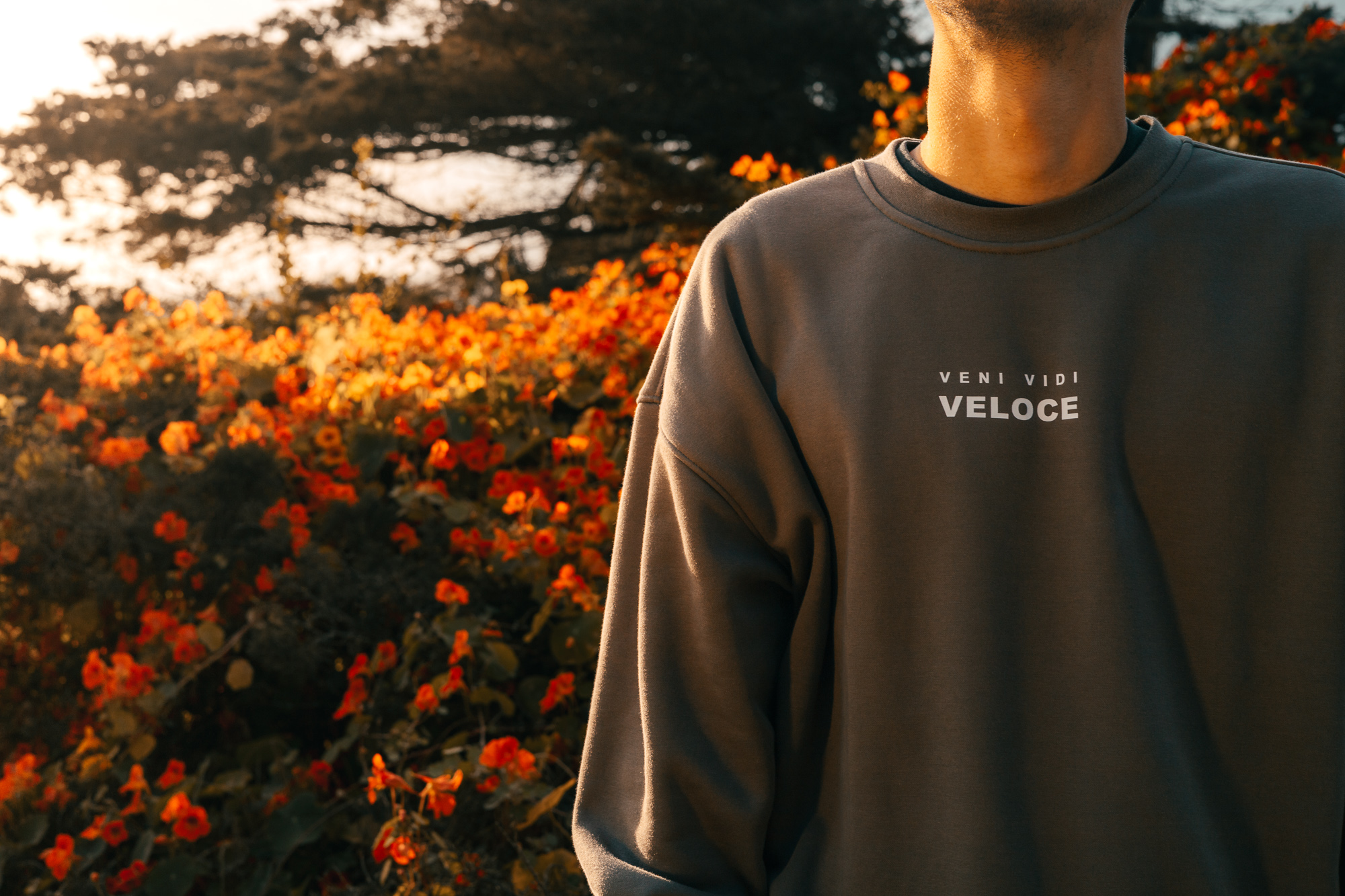 Product editorial